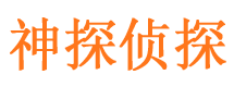 环县侦探公司